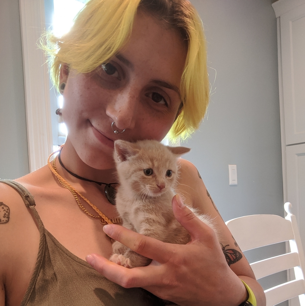 Meet your Posher, Grim